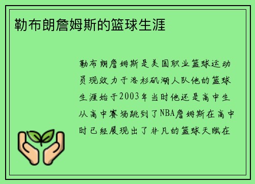 勒布朗詹姆斯的篮球生涯