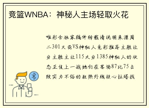 竞篮WNBA：神秘人主场轻取火花